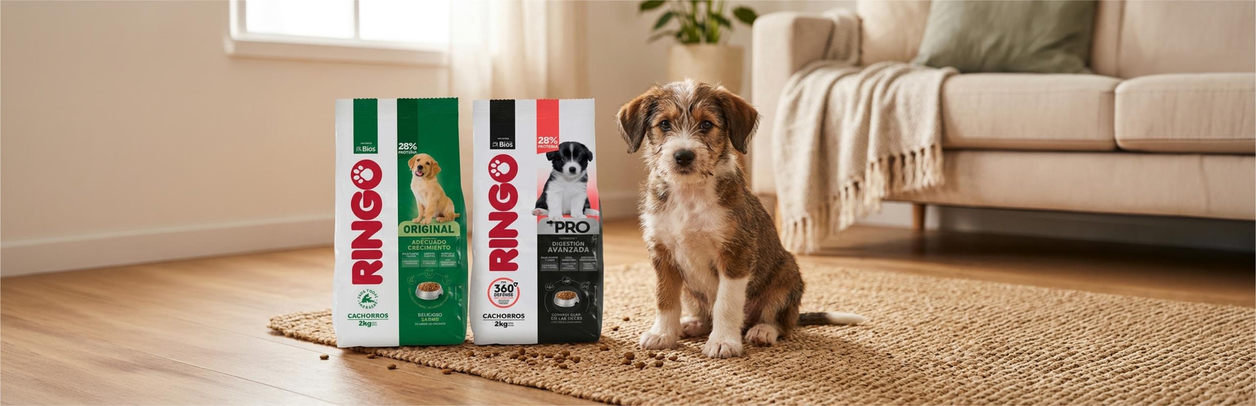 Ringo para cachorros