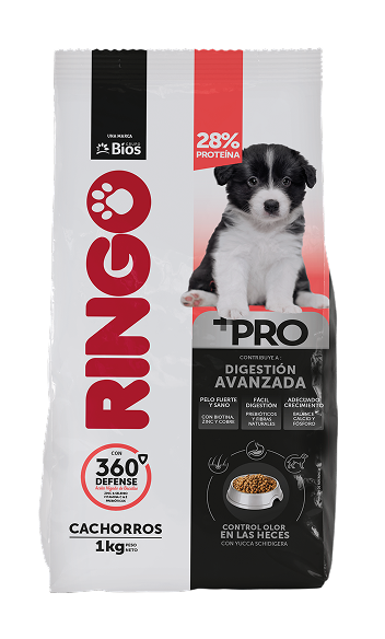 Empaque Ringo +Pro para perros cachorros