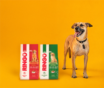 Con Ringo, tu compra cambia una vida  Pa 