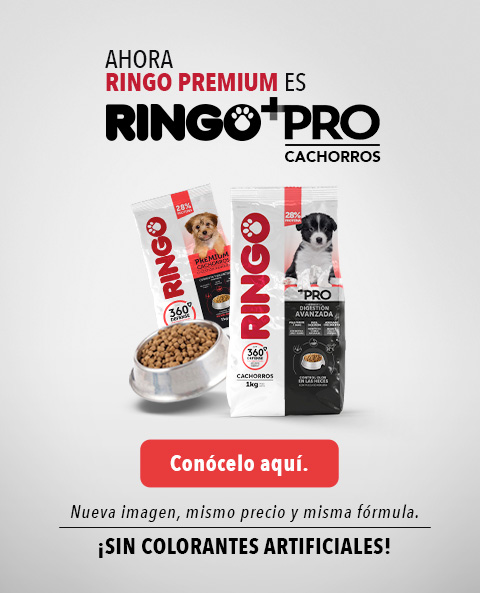 Banner cachorros+pro Home 2
