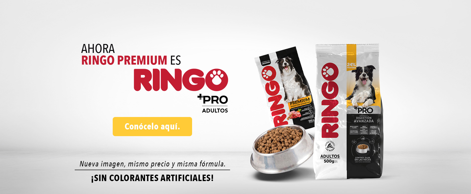 Banner home Adultos + pro 2