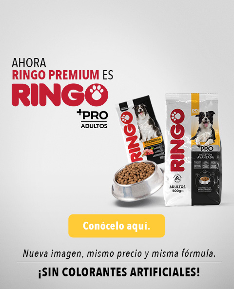 Banner home Adultos + pro 2