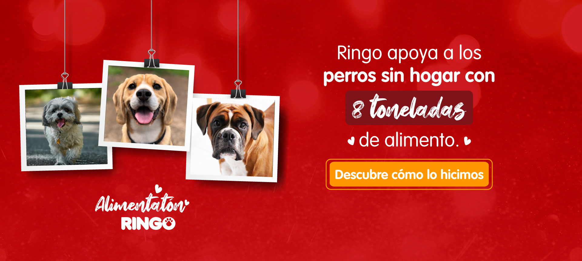 el día del perro