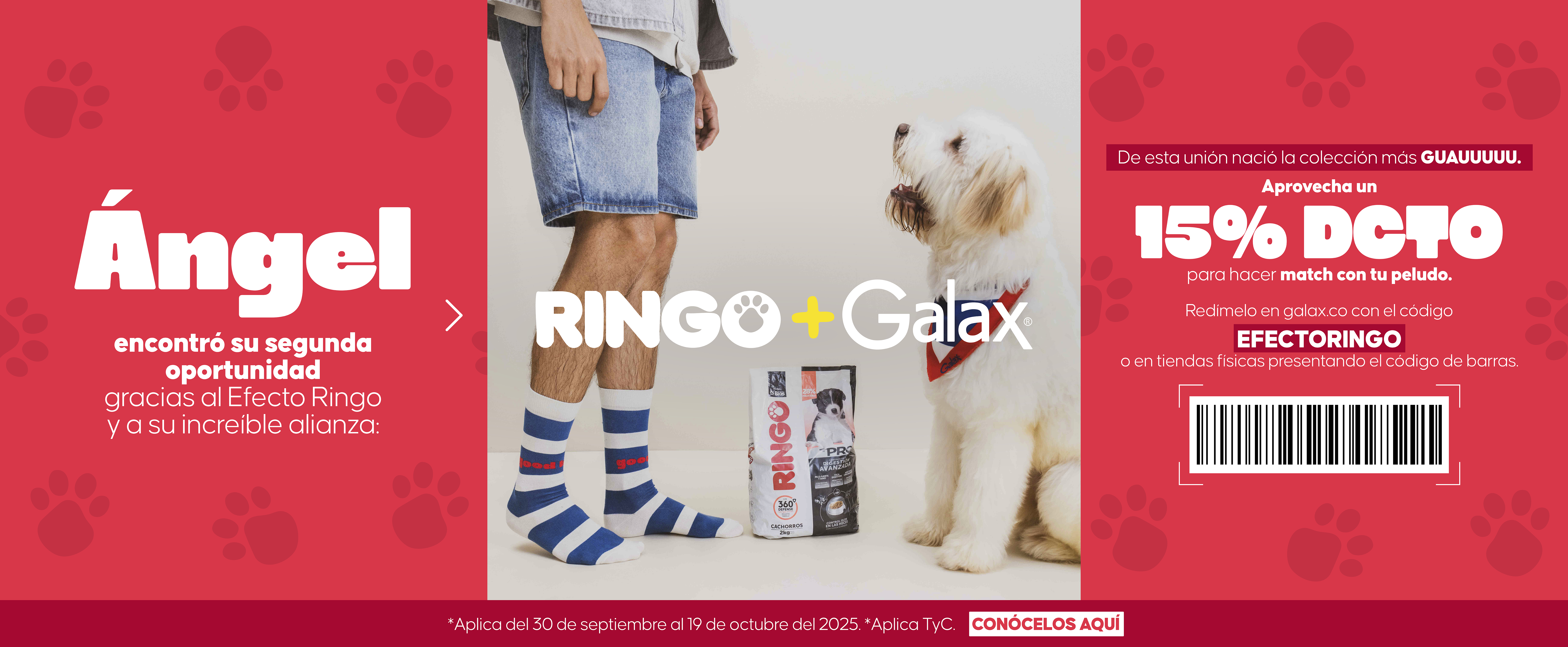 Ringo x Galax