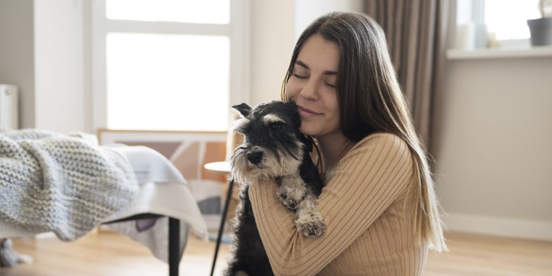 12 mandamientos de la tenencia responsable