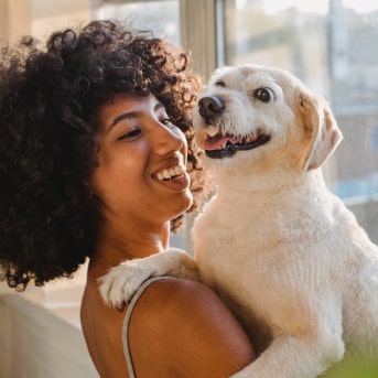 tenencia responsable en perros