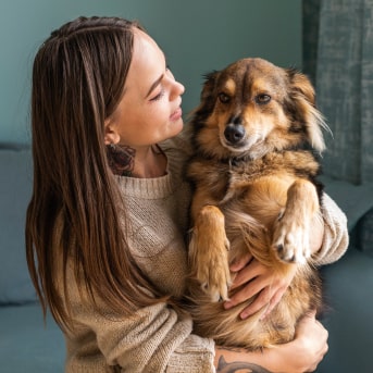como prepararse para tener un perro
