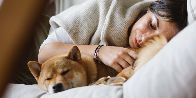¿Es bueno dormir con el perro? 