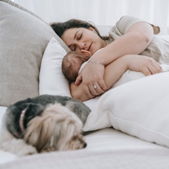 dormir con tu perro