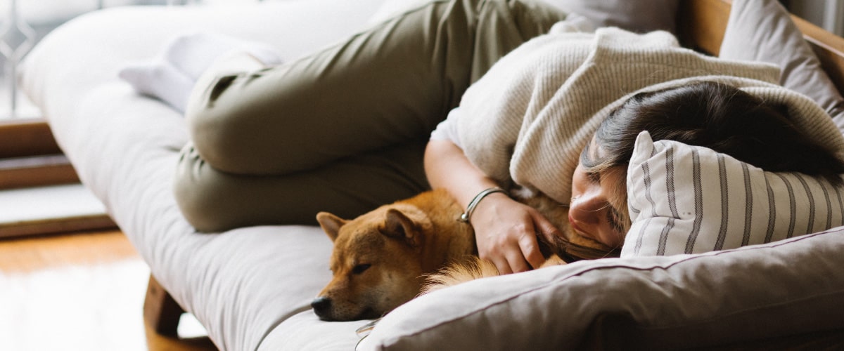 Dormir con el perro