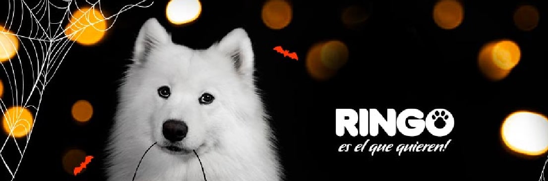 Perro disfraz