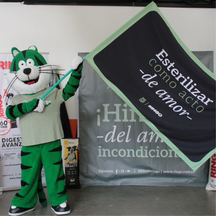 donacion-de-alimentos-perros.png