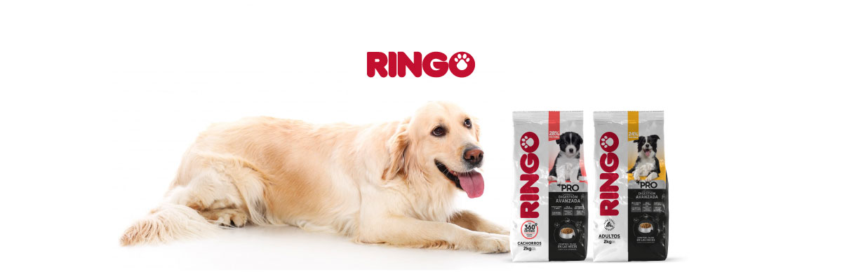 alimentos para que le brille el pelo a mi perro