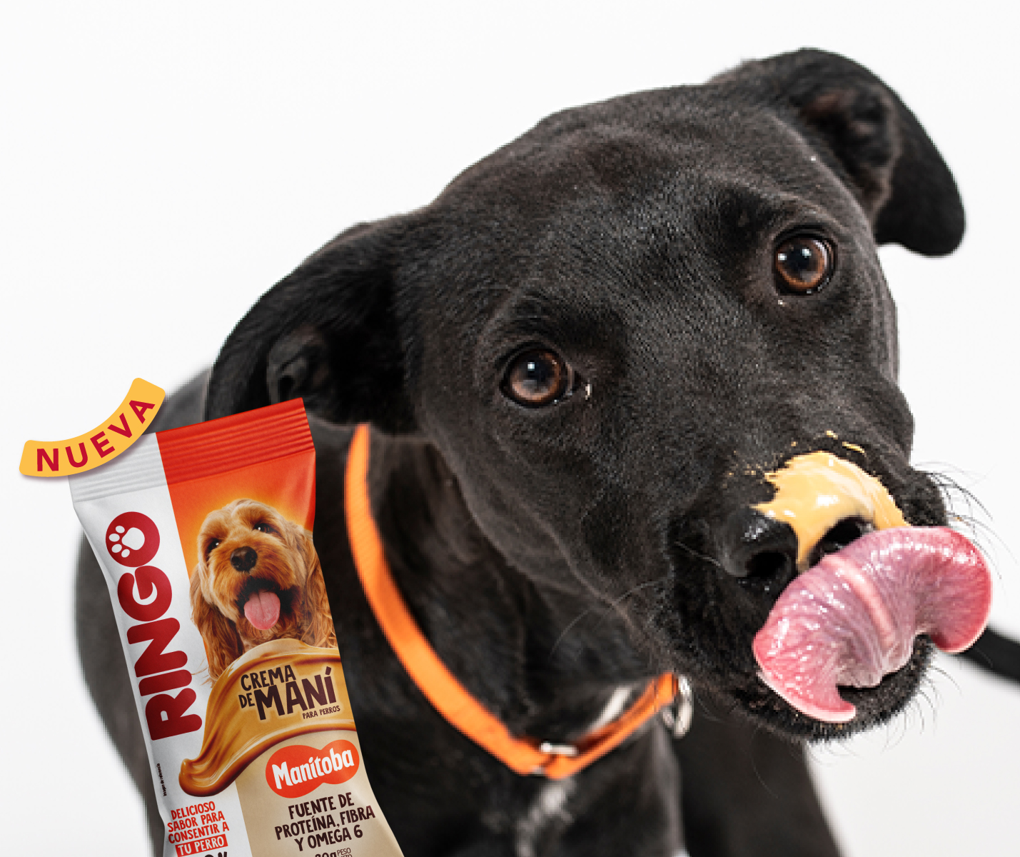 Cómo usar la crema de maní para jugar con tu perro