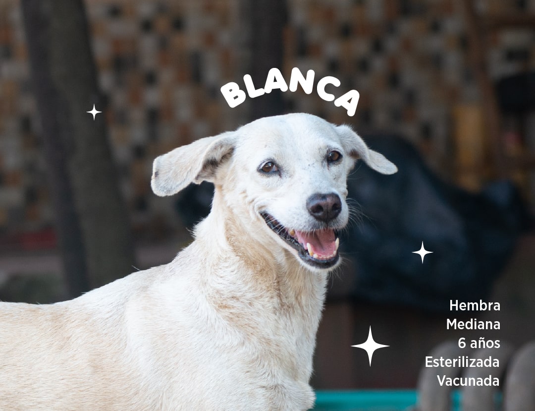 Blanca-min.jpg