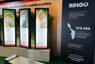 bienestar animal en el hay festival por ringo