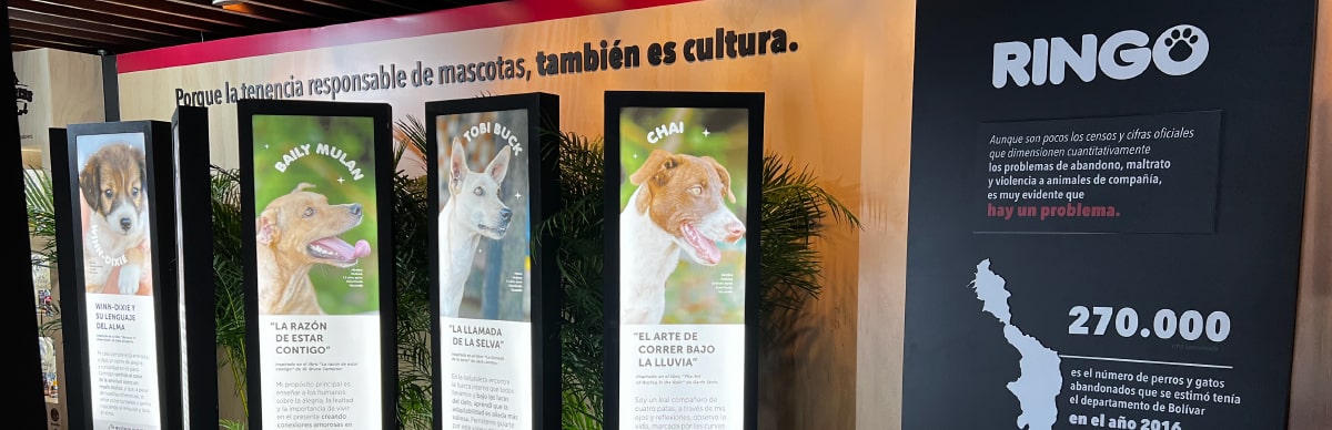 bienestar animal en el hay festival por ringo
