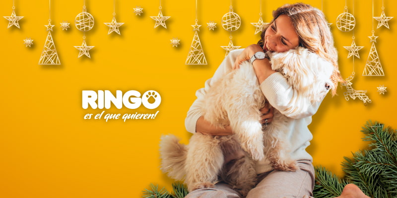 Fiestas navideñas con tu perro