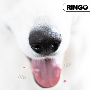 Causas del hipo en los perros