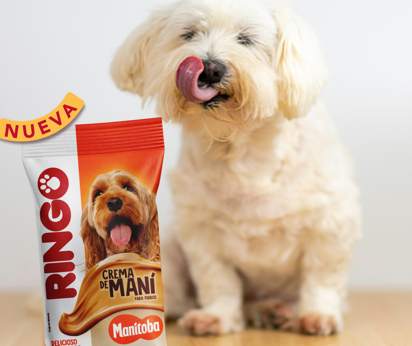 ¿La crema de maní es buena para los perros? Te contamos