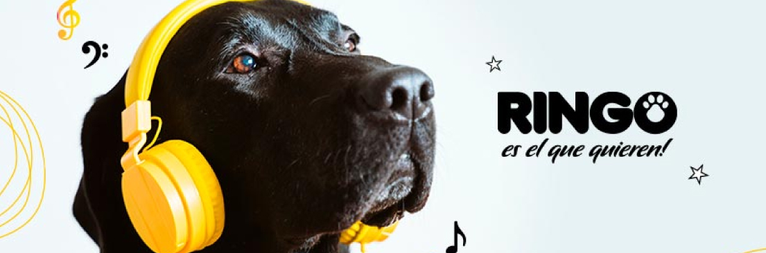 Los perros y la música