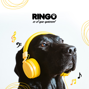 Los perros y la música