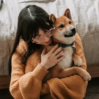 como cuidar a un perro en casa