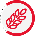 FIBRA