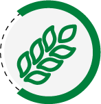 FIBRA FIBRA