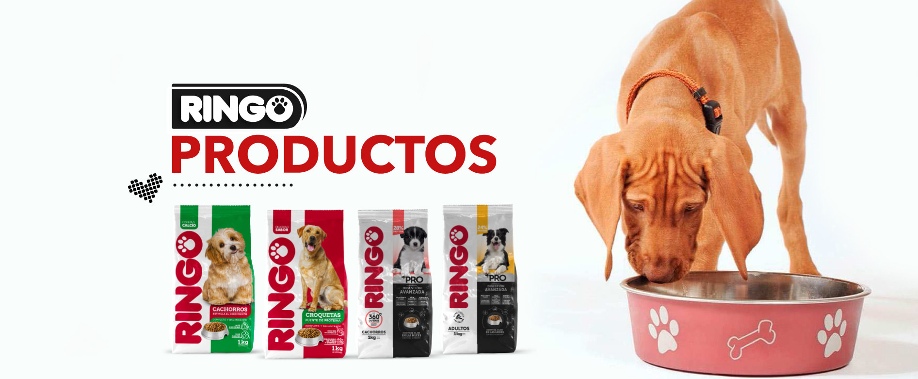 Banner interna pag productos col