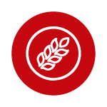 Vitaminas A, D, E