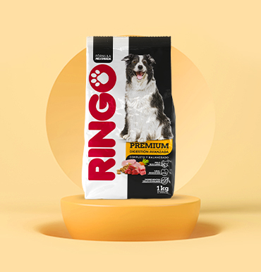 Ringo premium digestion avanzada