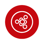 Fibra
