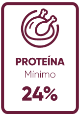 Proteína mínimo 24%