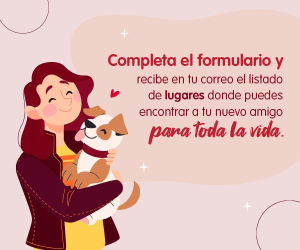 Digita tus datos en el formulario y conoce las fundaciones