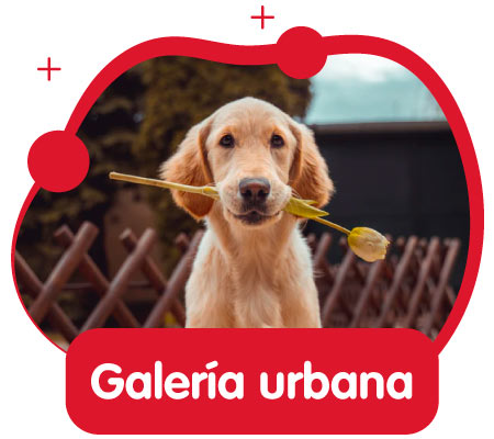 Galería urbana