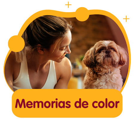 Memorias color