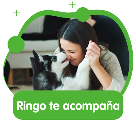 Tips para una adopción responsable