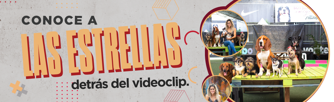 Conoce las estrellas de nuestro videoclip