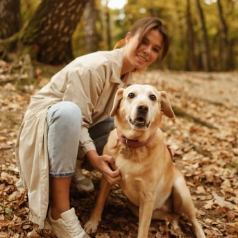 Cuidados perro anciano