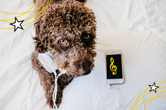 Perros y música