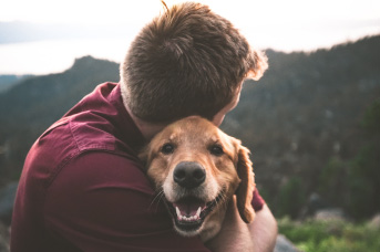 Beneficios de los animales para el ser humano