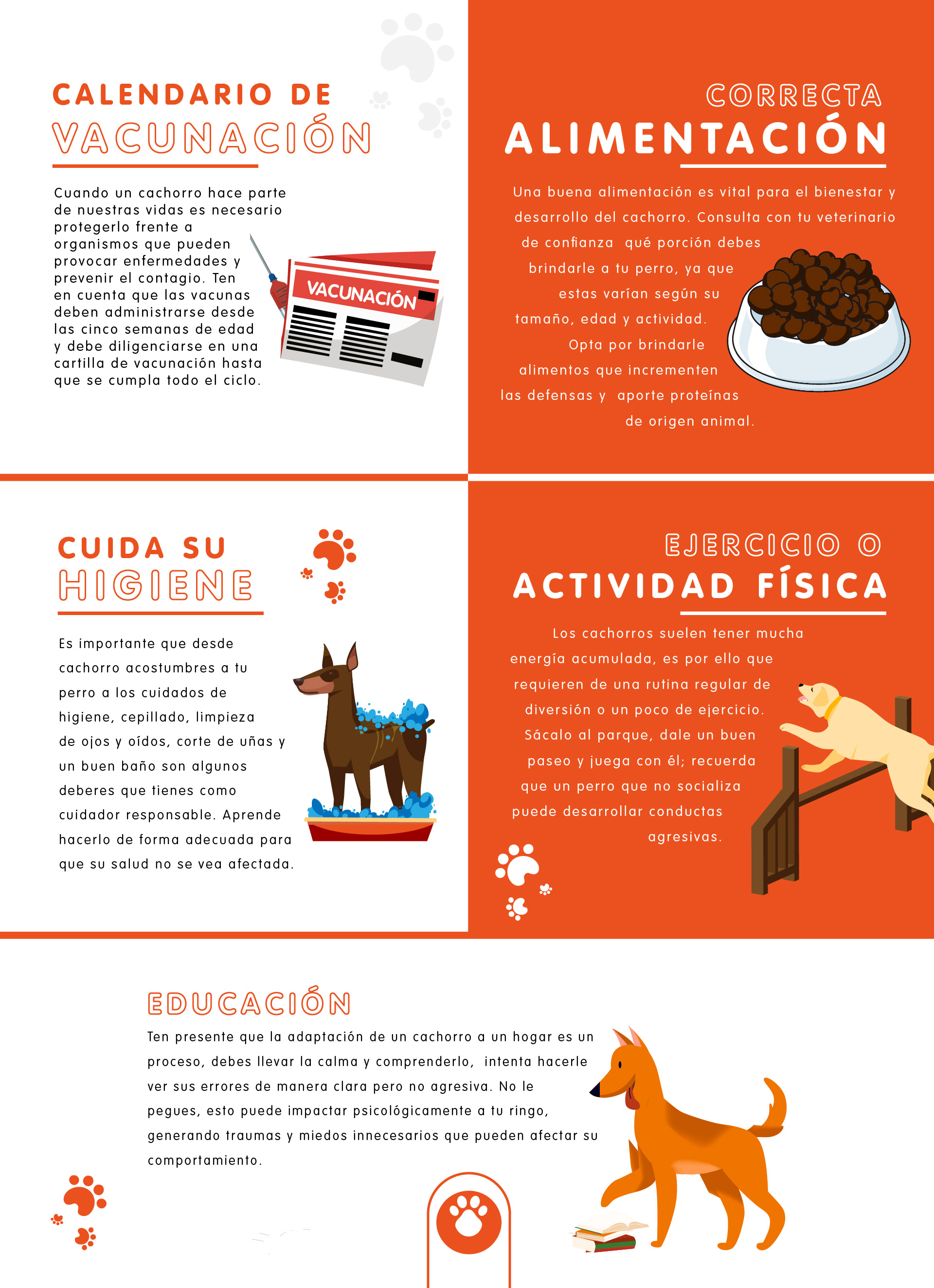 Salud de un perro cachorros