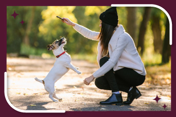 10 pautas para que tu perro se porte bien en el parque