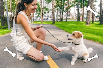 Perros y la tenencia responsable